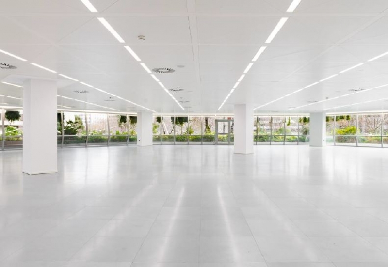 oficina interior Captura.JPG
